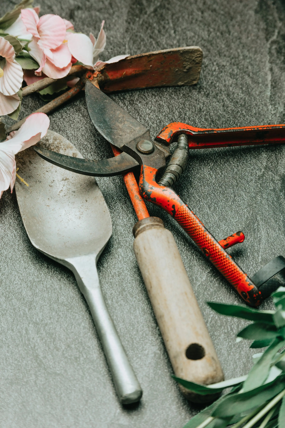10 beginner garden tools Every Beginner Needs