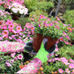 Long Tube Gardening Floral Stab-resistant Gloves GLlew Homewares