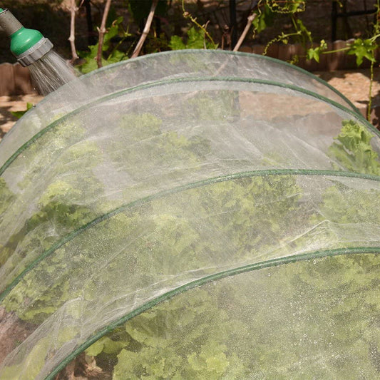 Agricultural Insect Nets, Gardening Supplies, Organic Vegetables, Flowers, Etc. Physical Insect Control GLlew Homewares