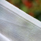 Agricultural Insect Nets, Gardening Supplies, Organic Vegetables, Flowers, Etc. Physical Insect Control GLlew Homewares