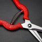 Straight Bonsai Gardening Scissors Sparse Scissors Thinning Fruit Scissors Picking Fruit Scissors GLlew Shop