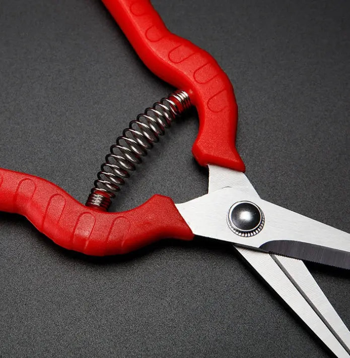 Straight Bonsai Gardening Scissors Sparse Scissors Thinning Fruit Scissors Picking Fruit Scissors GLlew Shop