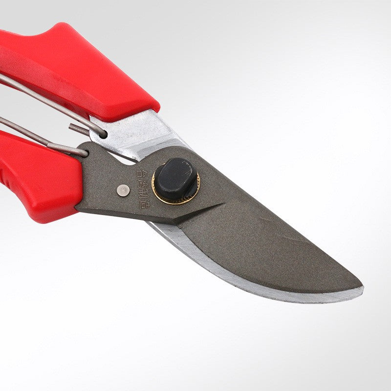 Garden Tools Fruit Tree Gardening Scissors GLlew Homewares