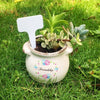 Plastic Simple Gardening Flowers And Plants GLlew Homewares