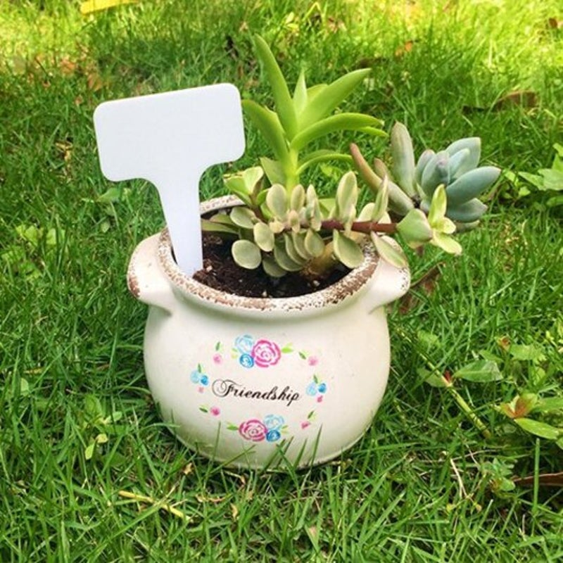 Plastic Simple Gardening Flowers And Plants GLlew Homewares